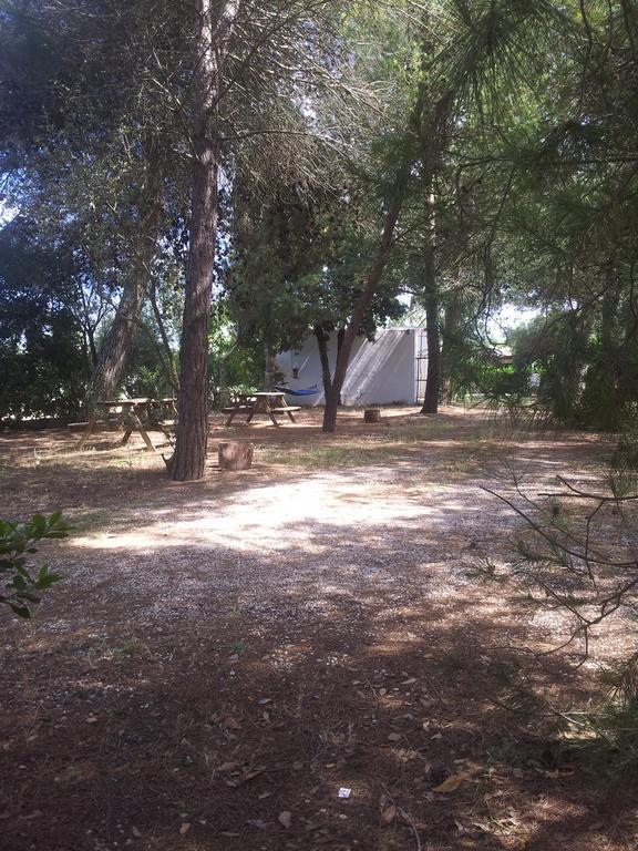 Agriturismo Vignavecchia Vignacastrisi Εξωτερικό φωτογραφία