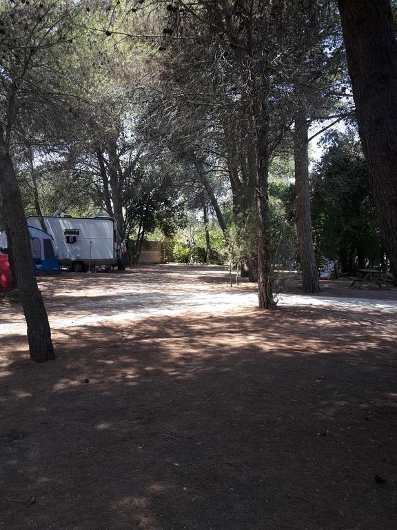 Agriturismo Vignavecchia Vignacastrisi Εξωτερικό φωτογραφία