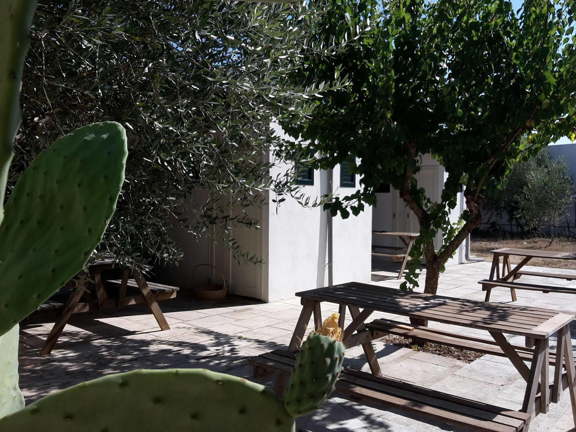 Agriturismo Vignavecchia Vignacastrisi Εξωτερικό φωτογραφία